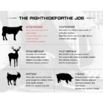 XYEHS Large Unlined Soft Leather Garden Gloves for Men & Women Truck Driving/Warehouse/Gardening/General Work - Image 5