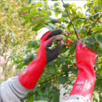 WonderGrip WG-328L 30cm Extended Full Coating 3-Layer Rubber Latex Gardening Work Gloves, Anti-Slip & Water Resistant & Chemical Resistant, 18 Gauge Nylon & Spandex Lining - Image 2