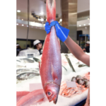 XYEHS 10-237 26cm Full PVC Coating Chemical Resistant Safety Work Gloves with Cotton Lining, Great Grip, Oil & Water Resistant - Image 4