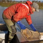 XYEHS 80-656 30cm Full Nitrile Coating Chemical Resistant Safety Work Gloves with Thermal Fleece Liner, Oil & Water Resistant, Anti-Slip - Image 2